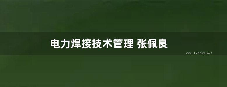 电力焊接技术管理 张佩良